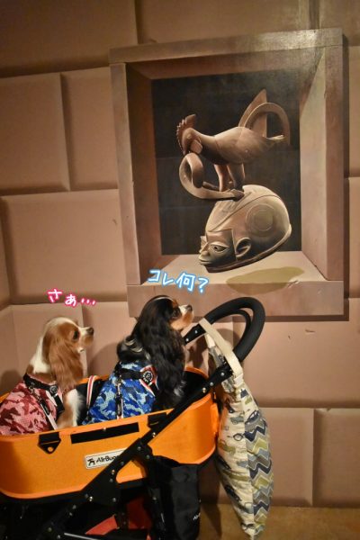 旧軽井沢森ノ美術館 トリックアート美術館 軽井沢犬旅行 キャバリア