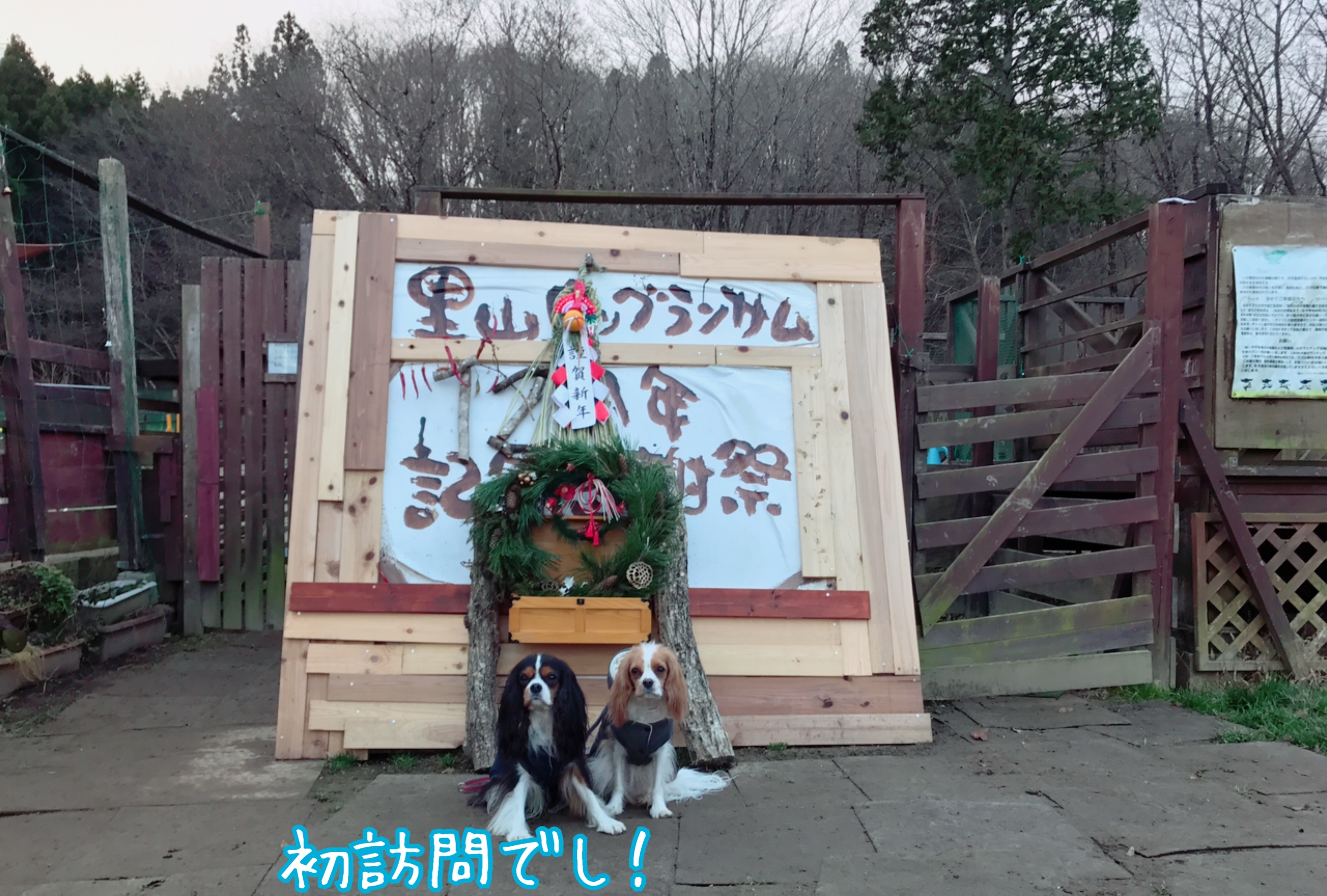 里山ドッグランサムさん（宮城県大和町）で新年初ドッグランしてきました