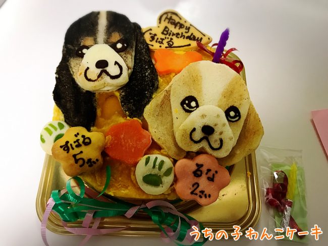 キャバリア 犬ケーキ 誕生日