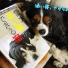 添い寝、させられたでし
