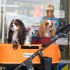 那須クラシックカー博物館