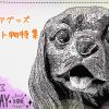 キャバリアグッズ 毛色問わずシルエット特集