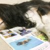 PeTeMo ハッピーペットライフマガジン イオンペット 無料冊子 読者投稿ページ
