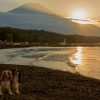 山中湖 キャバリア