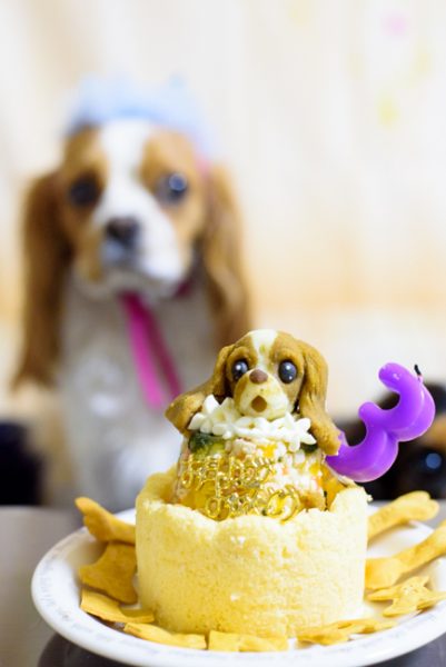 アトリエワフ 犬用誕生日ケーキ