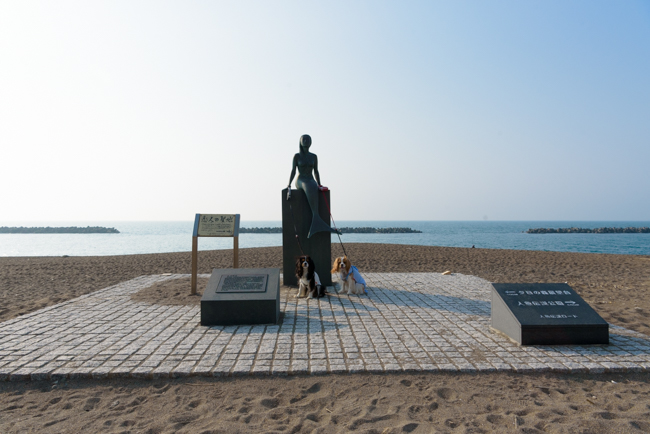 「わん宿うの浜館」（新潟県上越市）の周辺、鵜の浜海岸を散策。