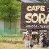 cafe sora カフェレストラン ソラ