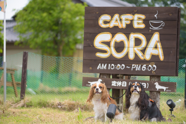 オフ会「Special合同散歩 第２弾」＠CAFE SORAさん（茨城県筑西市）に参加させていただきました
