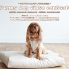 Cavalier Festival Funny dog video contest キャバリアフェスティバル2018 動画コンテスト