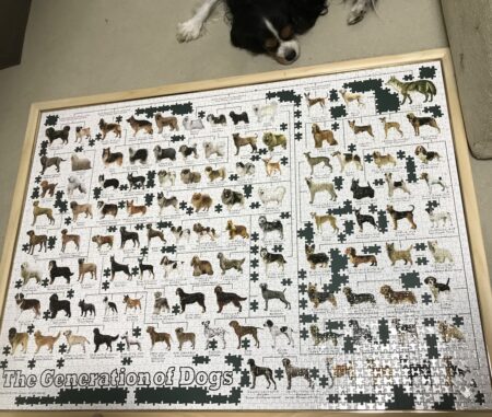 犬の系統図のジグソーパズル 究極パズルの達人バージョン すばるなはっぴ らいふ キャバリアブログ