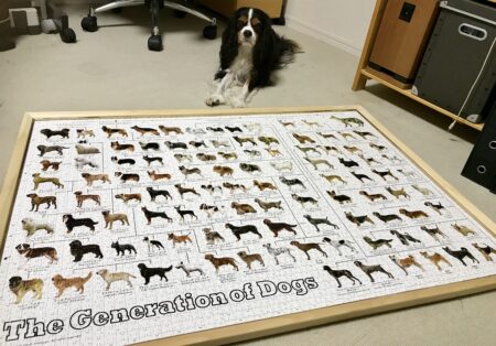犬の系統図のジグソーパズル（究極パズルの達人バージョン）