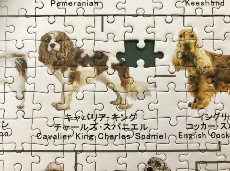 犬の系統図のジグソーパズル（究極パズルの達人バージョン）│すばるな 