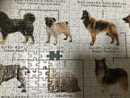 犬の系統図のジグソーパズル（究極パズルの達人バージョン）│すばるな 