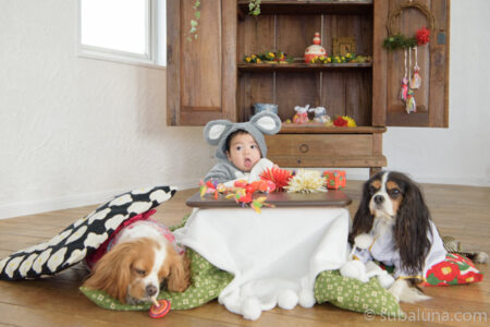 犬と赤ちゃんお正月写真